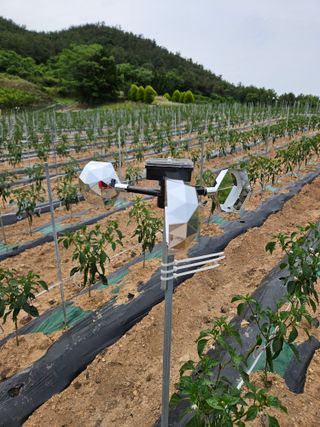 백호순(후추)님의 자유주제 · 자유게시판 작성글 사진