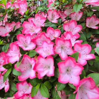 안길원님의 자유주제 · 자유게시판 작성글 사진