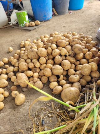 이외숙님의 자유주제 · 자유게시판 작성글 사진