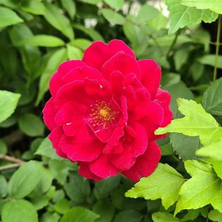 안길원님의 자유주제 · 자유게시판 작성글 사진