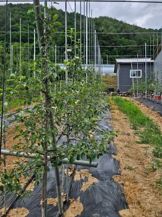 손기홍님의 자유주제 · 자유게시판 작성글 사진