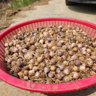 조한솔님의 작성글 사진