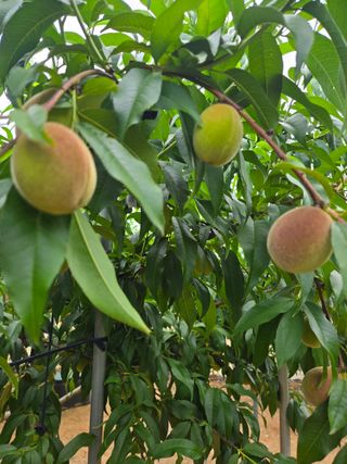 자연인님의 자유주제 · 자유게시판 작성글 사진