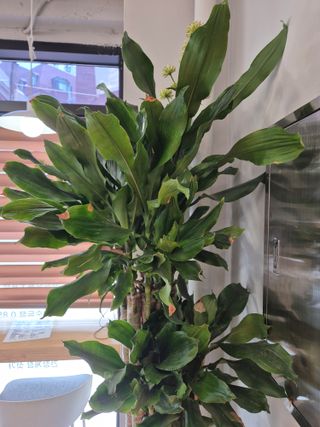 오형섭 님의 자유주제 · 자유게시판 작성글 사진