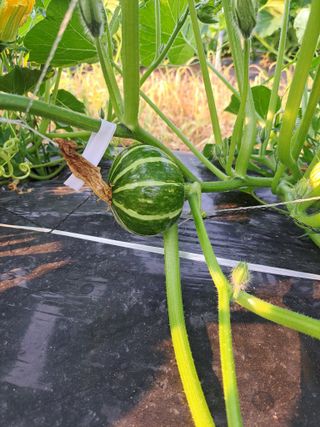 김형권님의 자유주제 · 자유게시판 작성글 사진