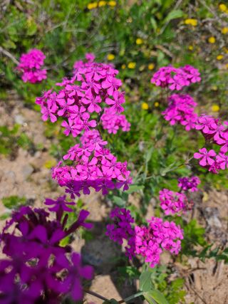 김시헌 님의 자유주제 · 사진전 작성글 사진