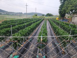 노연환님의 자유주제 · 자유게시판 작성글 사진