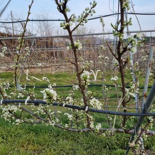 황대규님의 작성글 사진