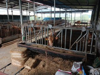 알 수 없음님의 자유주제 · 자유게시판 작성글 사진