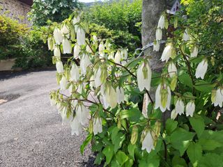 울금박사/빈덕열목사님의 자유주제 · 자유게시판 작성글 사진