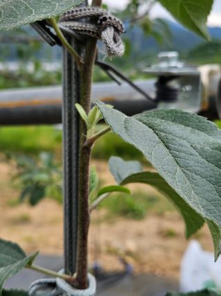 손기홍님의 자유주제 · 자유게시판 작성글 사진