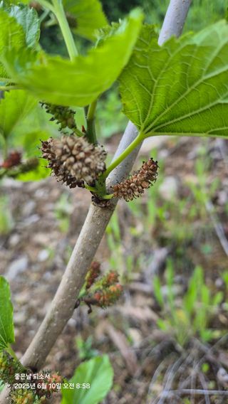 김진님의 자유주제 · 자유게시판 작성글 사진
