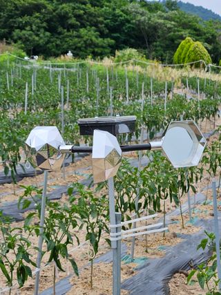 백호순(후추)님의 자유주제 · 자유게시판 작성글 사진