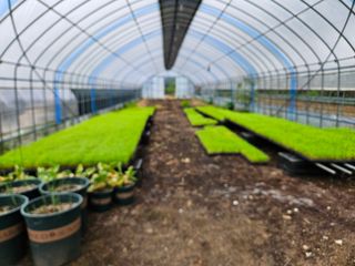 김시헌 님의 자유주제 · 자유게시판 작성글 사진