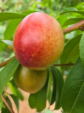 자연인님의 자유주제 · 자유게시판 작성글 사진