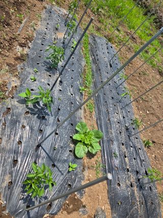 오현백님의 자유주제 · 자유게시판 작성글 사진