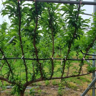 황대규님의 작성글 사진