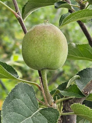 손기홍님의 자유주제 · 자유게시판 작성글 사진