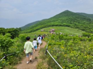 김시헌 님의 자유주제 · 자유게시판 작성글 사진