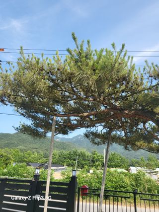 나여기에님의 자유주제 · 자유게시판 작성글 사진