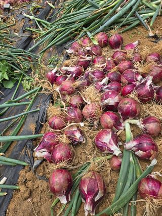 동동이님의 자유주제 · 자유게시판 작성글 사진