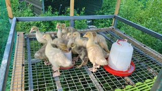 김영복님의 자유주제 · 자유게시판 작성글 사진