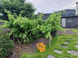 제주할아범님의 자유주제 · 자유게시판 작성글 사진