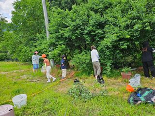 김용석님의 자유주제 · 자유게시판 작성글 사진