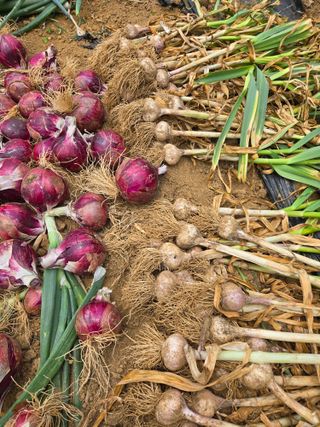 동동이님의 자유주제 · 자유게시판 작성글 사진