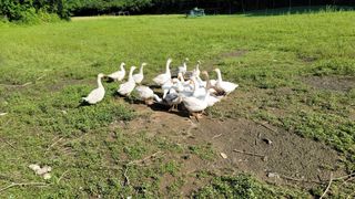 김영복님의 자유주제 · 자유게시판 작성글 사진