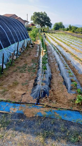 박순덕님의 자유주제 · 자유게시판 작성글 사진