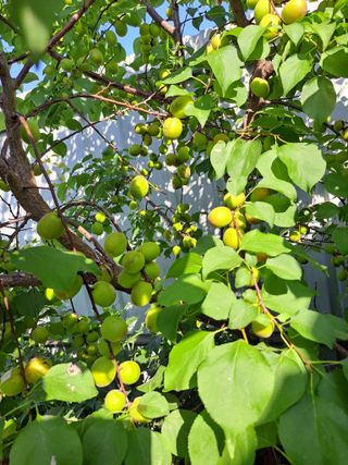 좋은인연원님의 자유주제 · 자유게시판 작성글 사진