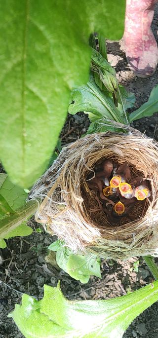 김선례님의 자유주제 · 자유게시판 작성글 사진