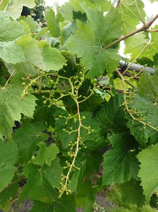 제주할아범님의 자유주제 · 자유게시판 작성글 사진