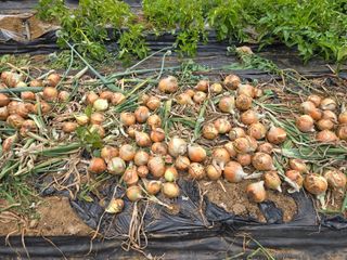 동동이님의 자유주제 · 자유게시판 작성글 사진