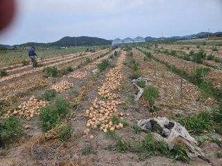 이재관(황토속애)님의 작성글 사진