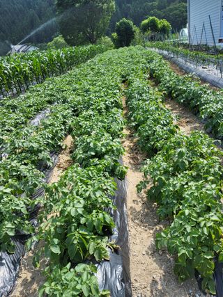 이연화님의 자유주제 · 자유게시판 작성글 사진