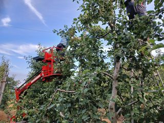 알 수 없음님의 자유주제 · 자유게시판 작성글 사진