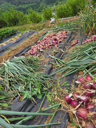 동동이님의 자유주제 · 자유게시판 작성글 사진