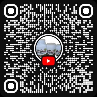 오호Ohoo님의 자유주제 · 자유게시판 작성글 사진