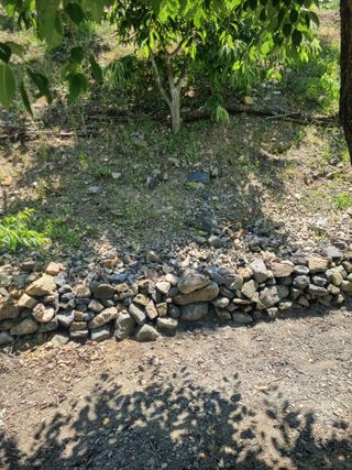 김용대님의 자유주제 · 자유게시판 작성글 사진