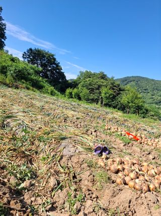 김광자님의 자유주제 · 자유게시판 작성글 사진
