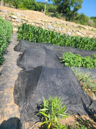 이박농장님의 자유주제 · 자유게시판 작성글 사진