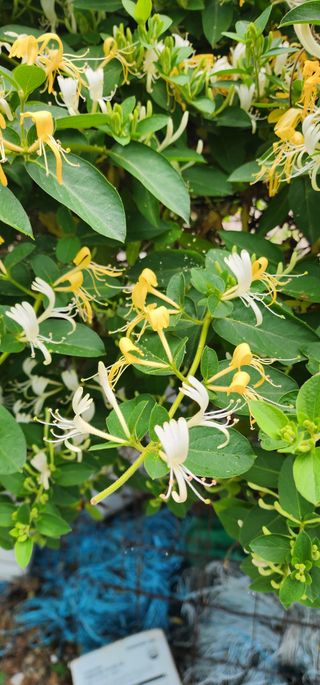 고추건조기부품판매님의 자유주제 · 자유게시판 작성글 사진