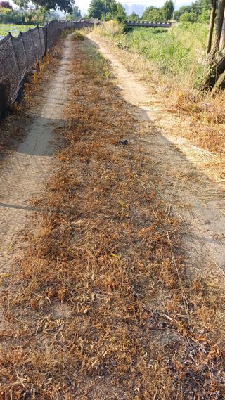 박순덕님의 자유주제 · 자유게시판 작성글 사진