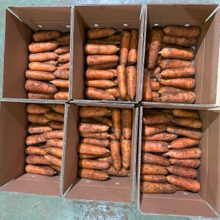 김태환님의 작성글 사진