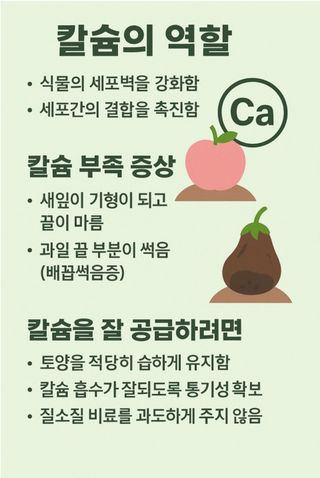 대산농사대장님의 고추 · 비료•농약 작성글 사진