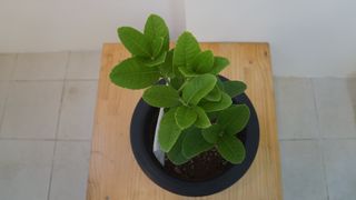 정미리님의 자유주제 · 자유게시판 작성글 사진