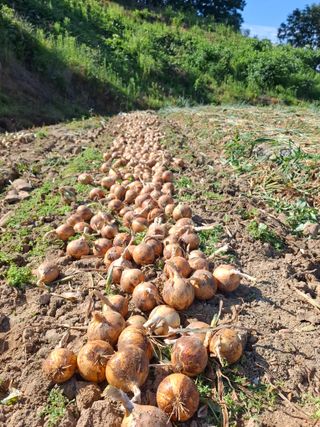 김광자님의 자유주제 · 자유게시판 작성글 사진