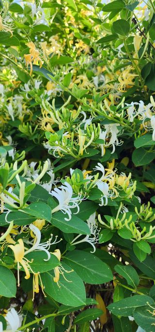 고추건조기부품판매님의 자유주제 · 자유게시판 작성글 사진